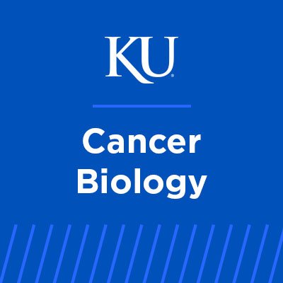 Official account of the Cancer Biology Department at the University of Kansas Medical Center