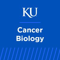 KUMC Department of Cancer Biology(@KUMCCancerBio) 's Twitter Profile Photo