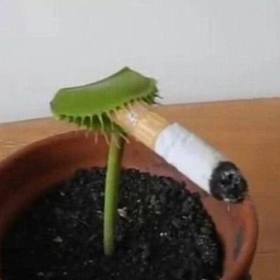 sadAsthore's profile picture. lonely 31 year old NB cries his problems out to a mostly blank Twitter account, follow for more info