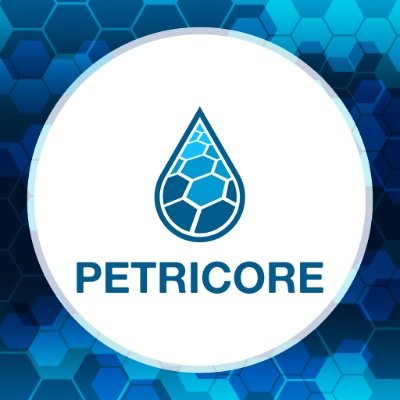 PetricoreGames Profile Picture