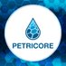 Petricore (@PetricoreGames) Twitter profile photo