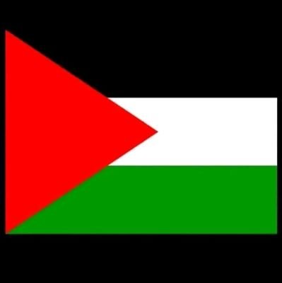 🇵🇸🇵🇸🇵🇸🇵🇸🕊️🕊️