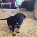 Roscoe Bentley House - @RoscoeBentley - Twitter