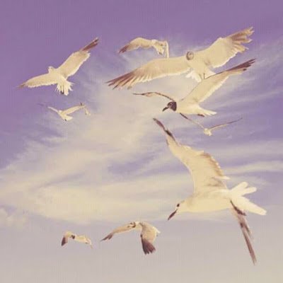 SergioV69094's profile picture. 