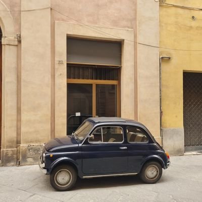 porousminds's profile picture. Minds are porous and the bullshit is torrential.  Free us all.