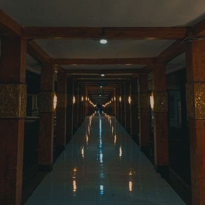 dbproject98's profile picture. 