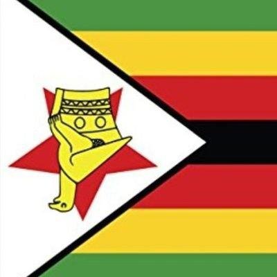 ZimMovement Profile Picture