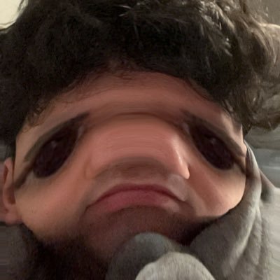 zskyres's profile picture. @MeltedXV