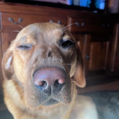 nlwykle13's profile picture. 