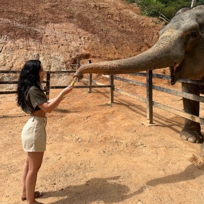 dozefina's profile picture. amor fati