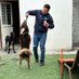 Veterinario Rayado (@migueldavidf) Twitter profile photo Veterinario Rayado (@migueldavidf) Twitter profile photo