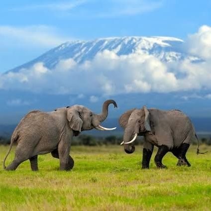 Tanzania, home to Serengeti's vast plains, Kilimanjaro's majestic peak, and Zanzibar's pristine beaches, boasts unparalleled natural beauty and cultural richnes