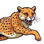 Cheetah2735 Profile
