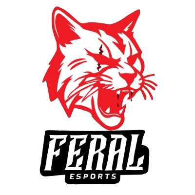 UK based Esports org

Competing in @UKICircuit Division 3

For business inquiries contact feralesportsuk@gmail.com
