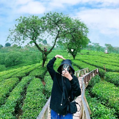 sherlyindria2's profile picture. aku suka segala sesuatu yang dimulai dengan huruf S, terutama matahari terbenam.