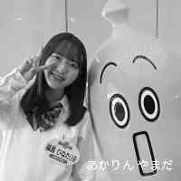 yamadaakariin's profile picture. cookingrecipes0901←料理アカウント🍳
黄色💛と向日葵🌻が大好きです🥺❤️✨