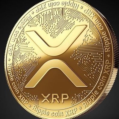XRP investor since 2018 and proud of it!