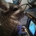 Ash (@franticpaws) Twitter profile photo Ash (@franticpaws) Twitter profile photo