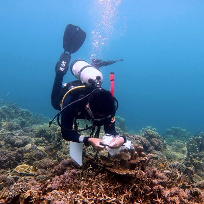 Fulbright Scholar | PhD student in the Cnidarian Evo Eco Lab / Kenkel Lab at USC | From 🇮🇩 | interested in coral population genomics in the Coral Triangle