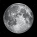 The Moon (@GrayBallofDirt) Twitter profile photo