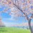 takayao's profile image