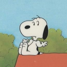 ☆₊˚⊹ snoopy posting₊˚⊹☆