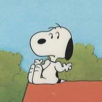 snoopy(@snoopyvinyls) 's Twitter Profile Photo