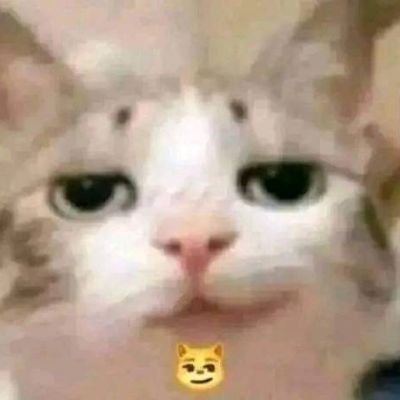 JustFirFun000's profile picture. 