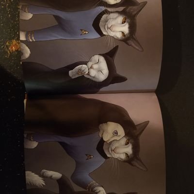 JaimeMorrill's profile picture. .