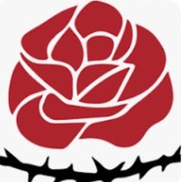 Ali Monfared (@alimonfared4) 's Twitter Profile