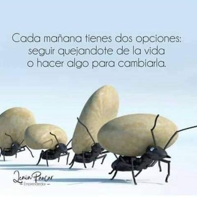 Humanista, lectora empedernida, enamorada de la vida. 🥰🥰🥰🥰