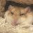 klepさんのプロフィール画像