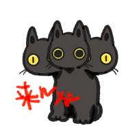 ただの猫餓鬼。 (@gakinoko_) 's Twitter Profile Photo ただの猫餓鬼。 (@gakinoko_) 's Twitter Profile Photo