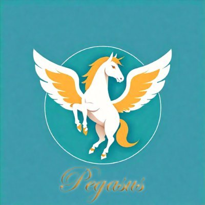 PegasusNightclubCork