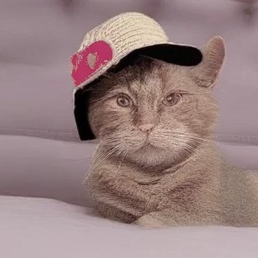 Diddydirtydoll's profile picture. We're live on #Pump.fun!!!