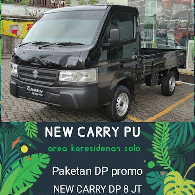 MomoSoloraya's profile picture. 