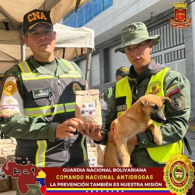 Lucha Frontal Contra el Tráfico ilícito De Drogas 👊