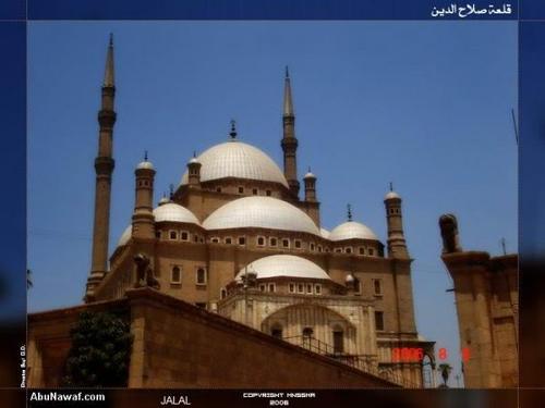 yougoto91's profile picture. 