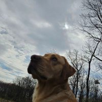C Sholl (@ish_kabibble18) 's Twitter Profile