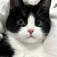 흠냐 (@b1109woo) 's Twitter Profile