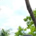 づづ (@678vu678) Twitter profile photo づづ (@678vu678) Twitter profile photo