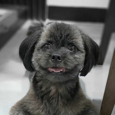 hygieia_1994's profile picture. 