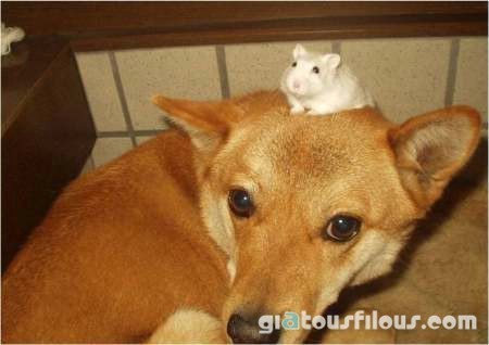 anamesos's profile picture. با تشکر از شما برای زیر مرا
لطفا http://t.co/ctEt1Kk49s سایت من
من منتظر نظر شما
من به شما به دنبال