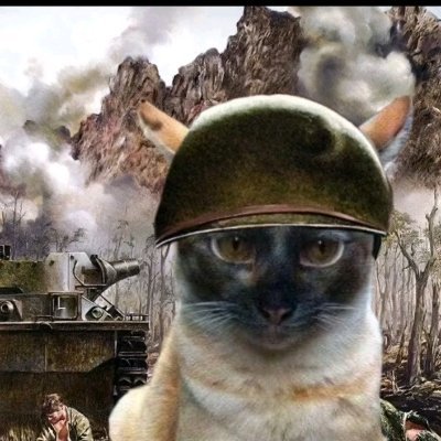 vimo27901's profile picture. 