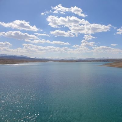 Real_Medea's profile picture. دیوانه‌ای لایق این خانه
