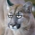 DepravedPuma (@depravedpuma) Twitter profile photo DepravedPuma (@depravedpuma) Twitter profile photo