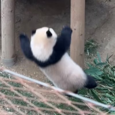 CHAEWONI0524's profile picture. 끝까지 빅스 131129 〰️