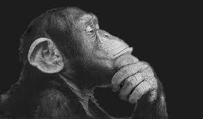 camaleon2008's profile picture. 