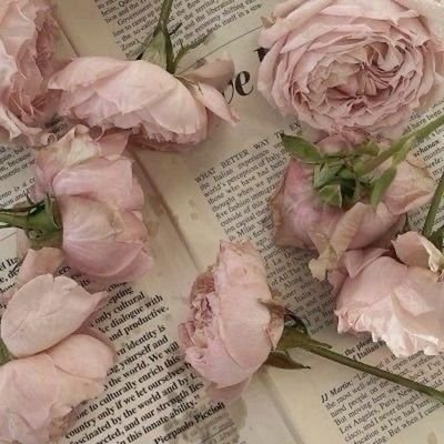 matchaltee1's profile picture. 