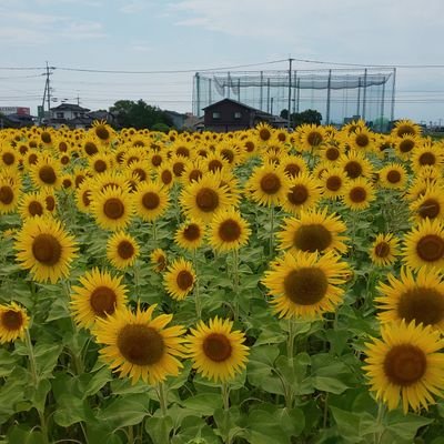 スポーツ・ミュージック大好きです😊
プロ野球〜ジャイアンツ
卓球・ゴルフ等